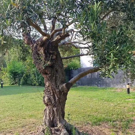 La Casa Sulla * Eraclea Mare